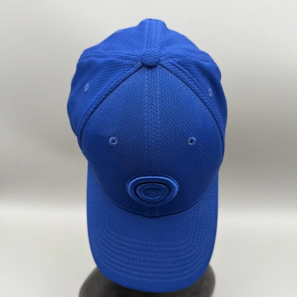 MLB Chicago Cubs 39thirty Flex Fit L/XL Blue